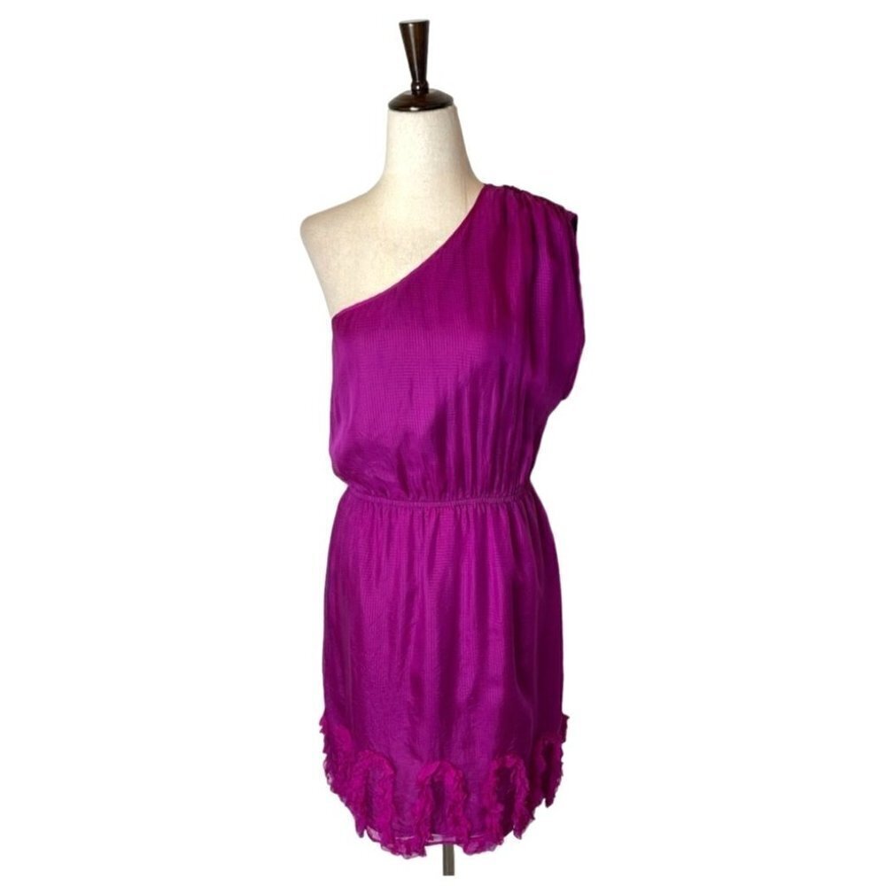 Charlie Jade Anthropologie Dress Women Small Pink Silk One Shoulder Ruffle Mini